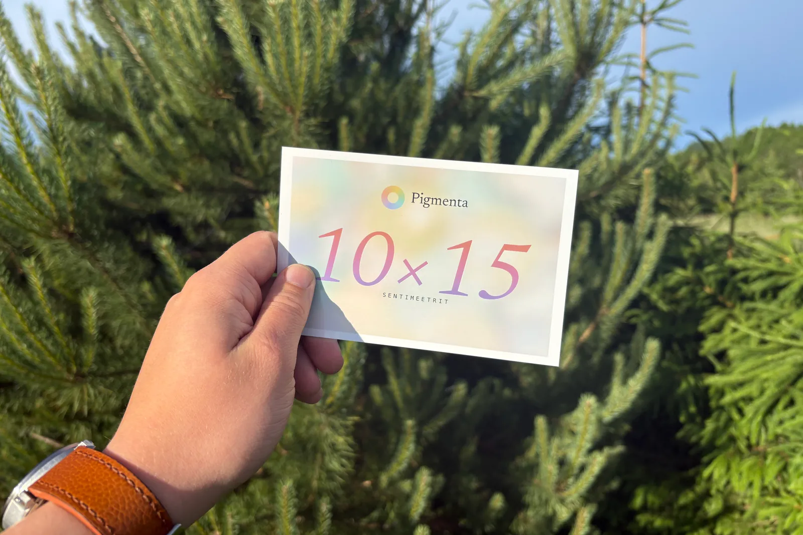 10×15 cm fotoprint käes, kreemikas taust