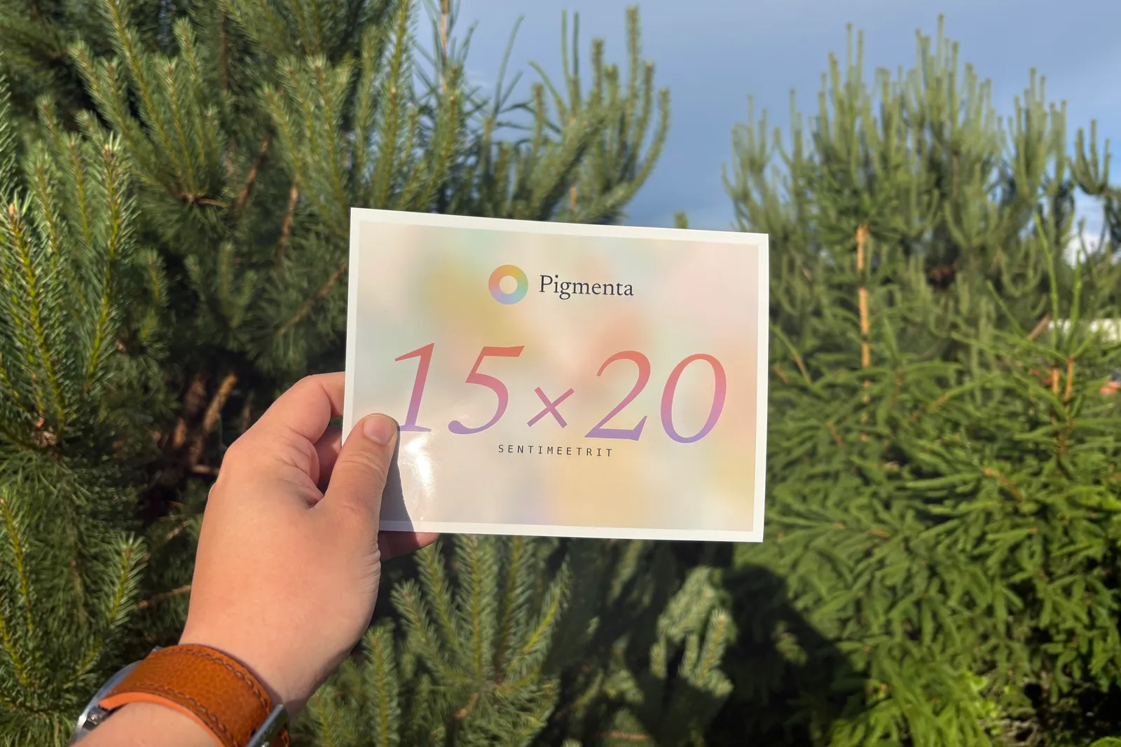 15×20 cm fotoprint käes, kreemikas taust