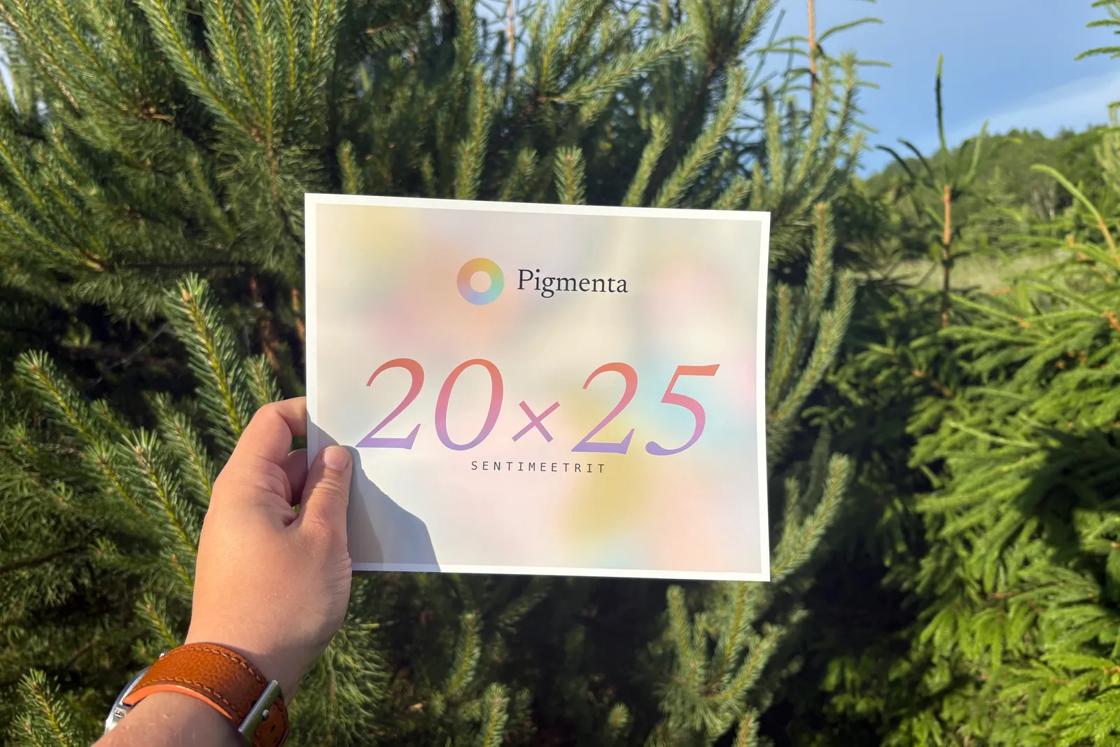 20×25 cm fotoprint käes, kreemikas taust
