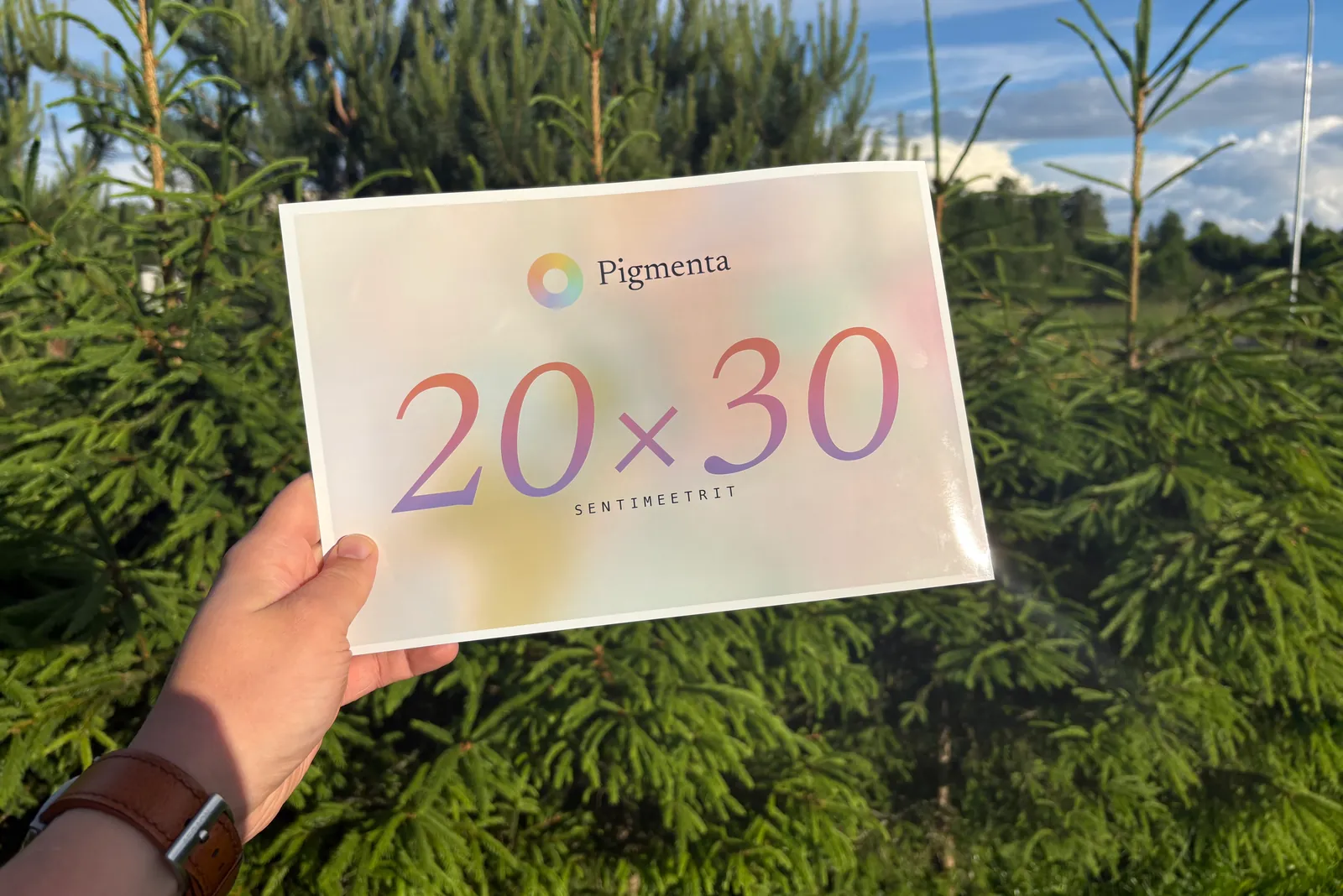 20×30 cm fotoprint käes, kreemikas taust